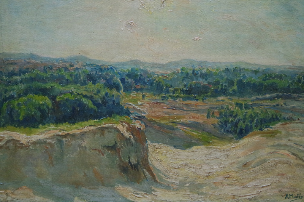 Adrianus Miolee (1879 - 1961) - olieverf op doek - duinlandschap I verkocht voor € 255!