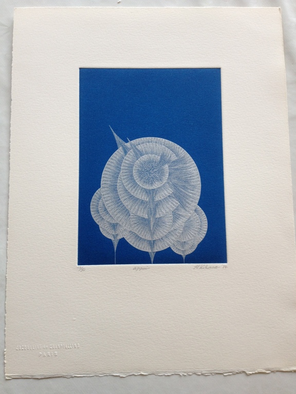 Yasuyuki Kihara :Appui handgesigneerde ets op buettenpapier  kopen? Bied vanaf 50!