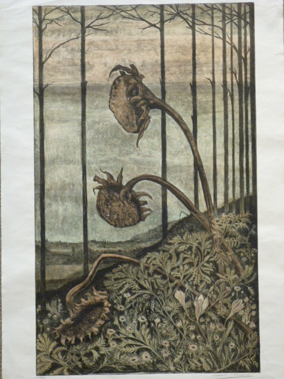 H.B.Dieperink - kleurenlitho - Zonnebloemen kopen? Bied vanaf 30!