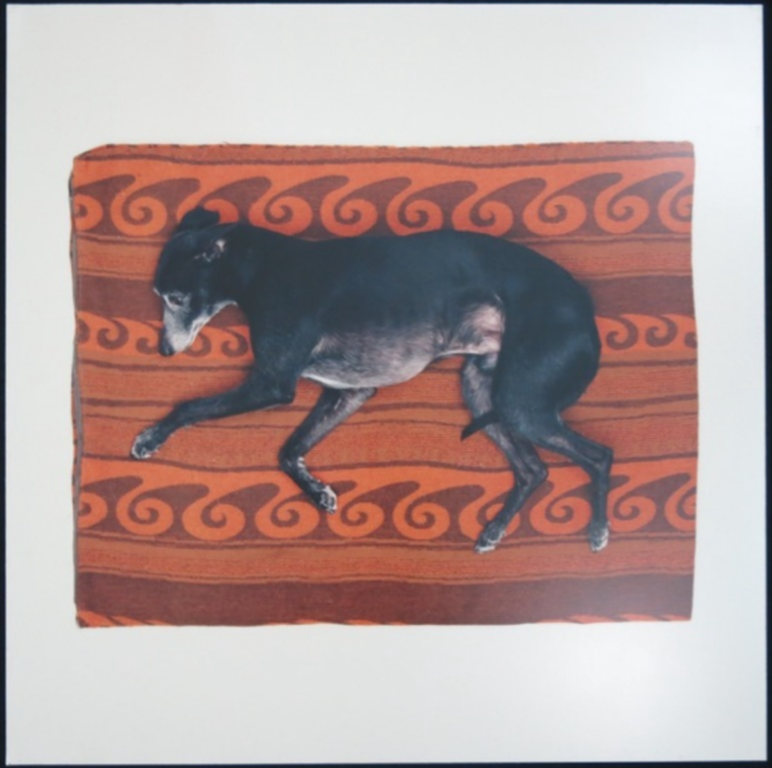 Maarten Wetsema: Foto op aluminiumplaat, Rik op kleed kopen? Bied vanaf 1!