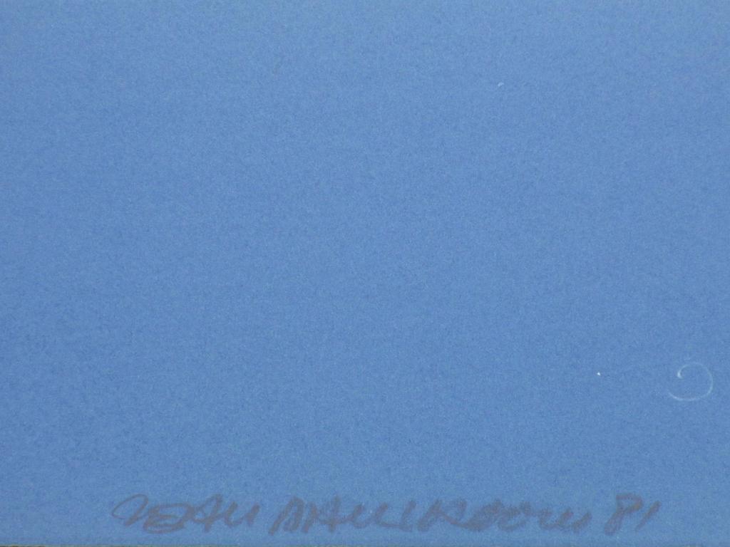 Jean-Paul Vroom, Hangglider, Zeefdruk 1981 kopen? Bied vanaf 55!