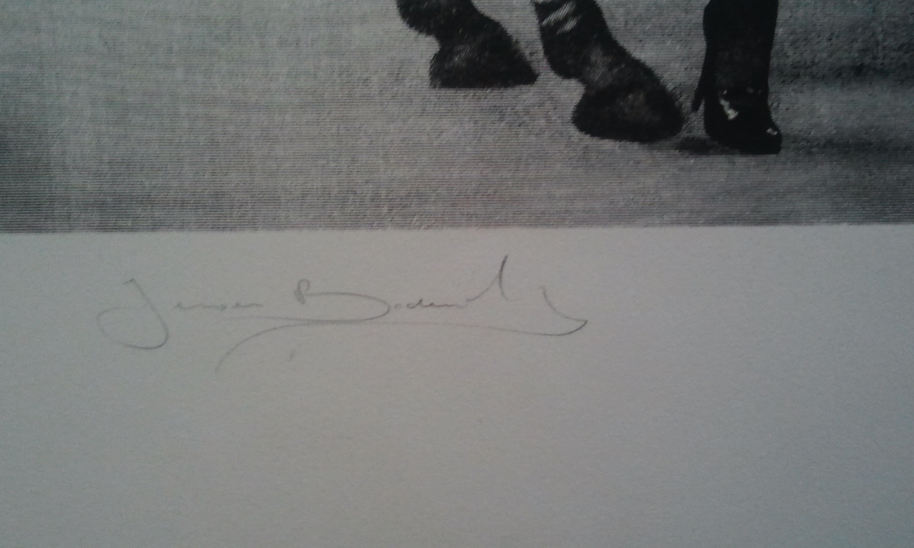 Jeroen Bodewits kopen? Bied vanaf 1!