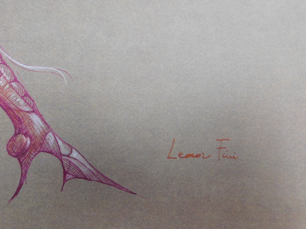 Leonor Fini - Boek Fruits de La Passion - 1980 kopen? Bied vanaf 40!