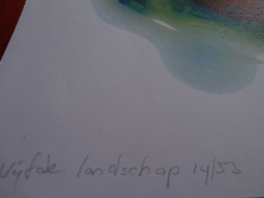 irene sminia * vijfde landschap * digitale grafiek kopen? Bied vanaf 49!
