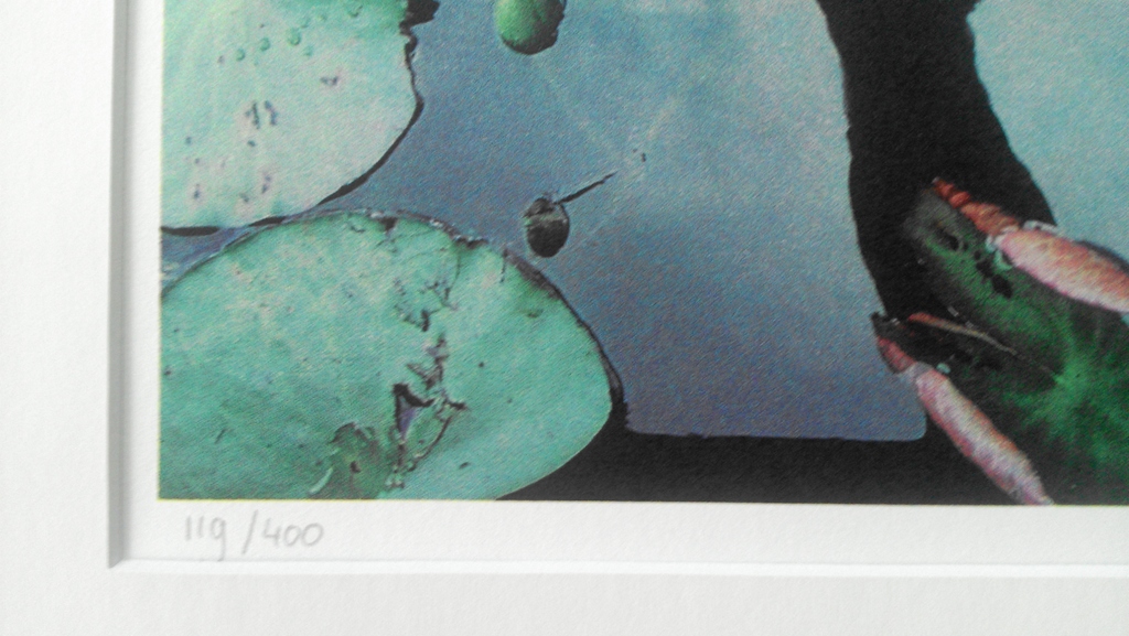 Waterspiegel kopen? Bied vanaf 25!