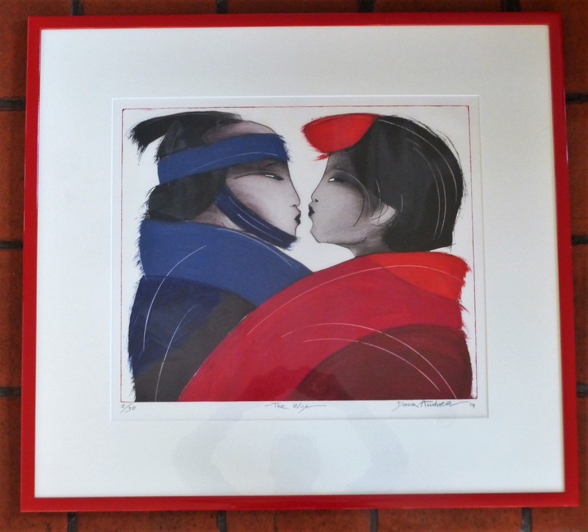 Dana Andreev  : Kleurenets , The Wish kopen? Bied vanaf 85!