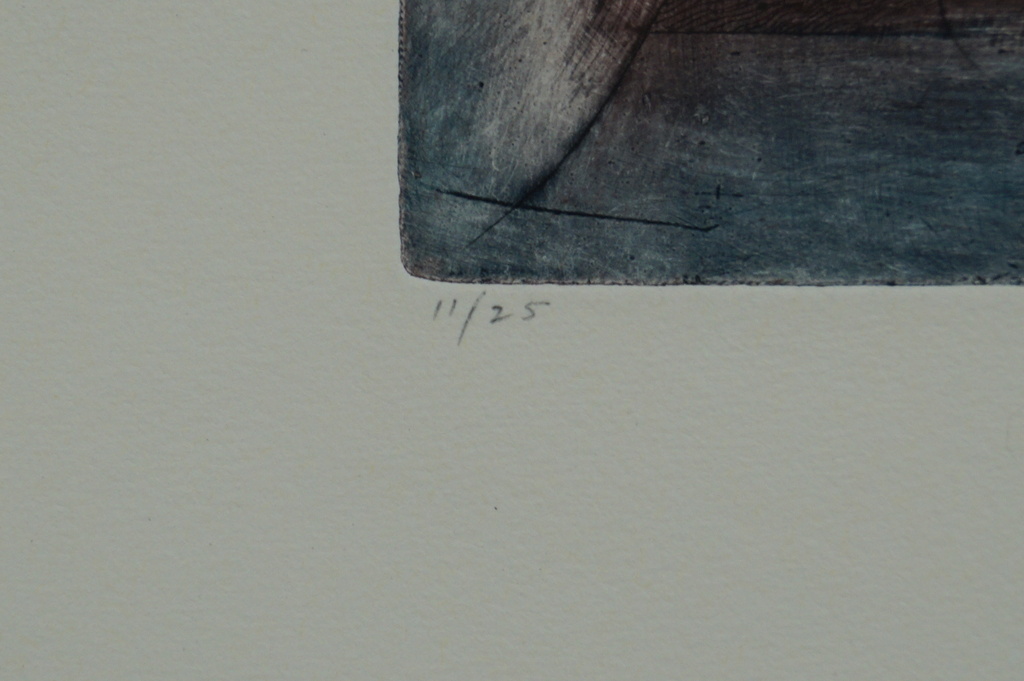 Mark Visione - gesigneerde ets- mixed media - shunga (naar hokusai) kopen? Bied vanaf 20!