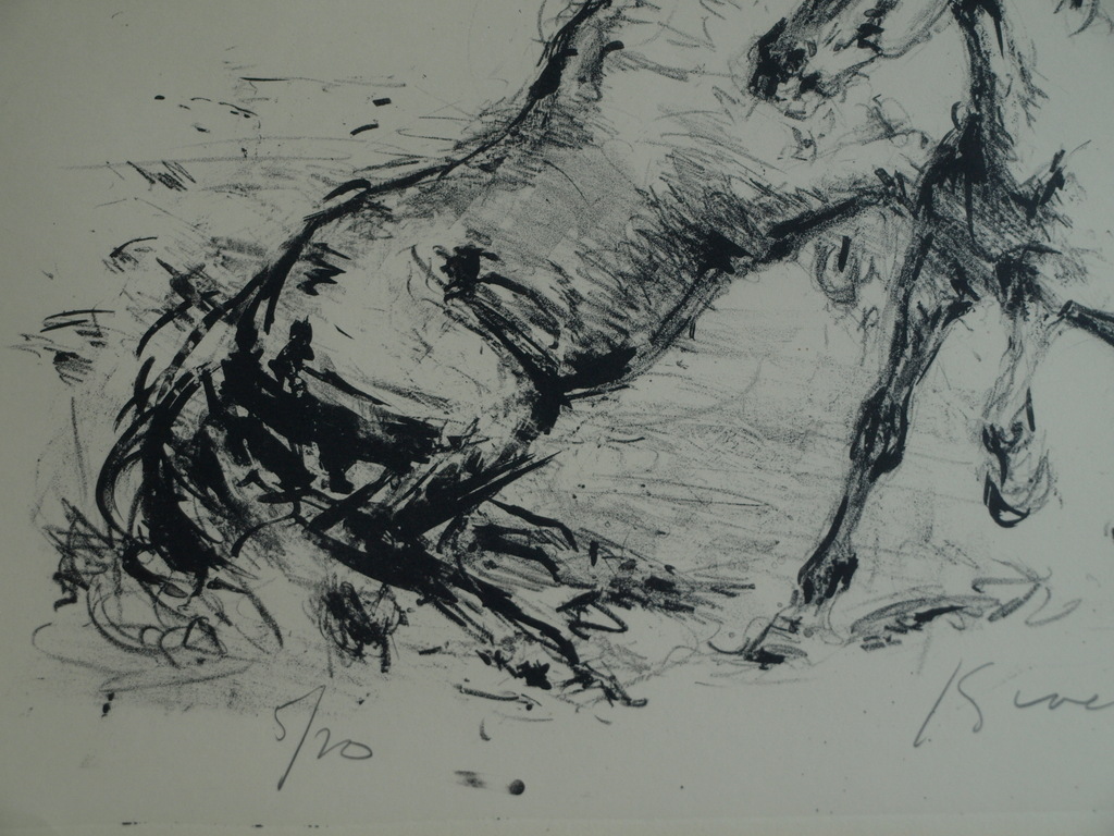 Jan Groenestein : Litho , Paarden – gesigneerd & ingelijst – ca 1962 kopen? Bied vanaf 75!