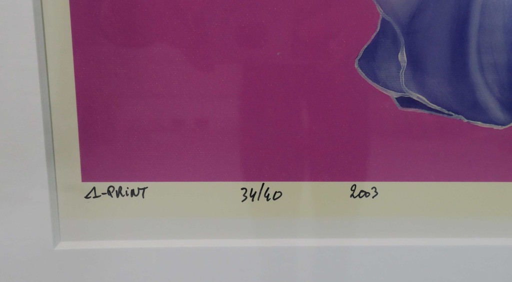 Jan Bollaert: Lambdaprint, Oh-3 Pink - Ingelijst kopen? Bied vanaf 35!