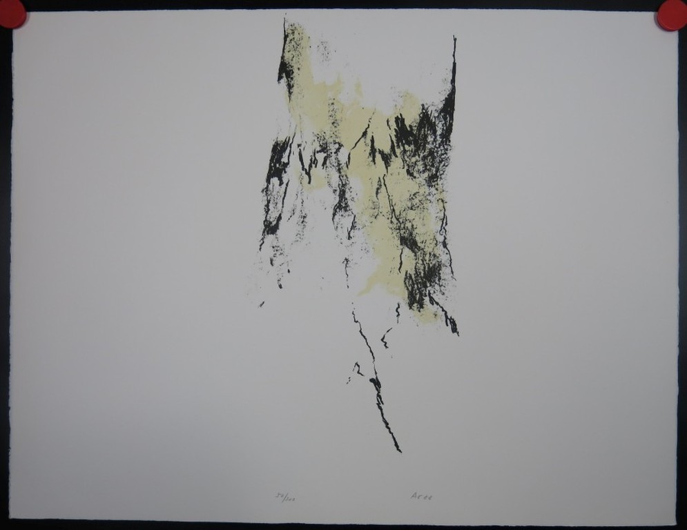 Armando: Litho, Z.T. verkocht voor € 150!