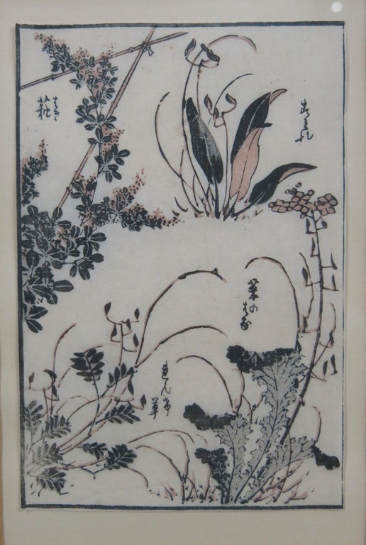 Onbekende kunstenaar: Houtsnede op Japans papier, Studie van planten - Ingelijst kopen? Bied vanaf 10!