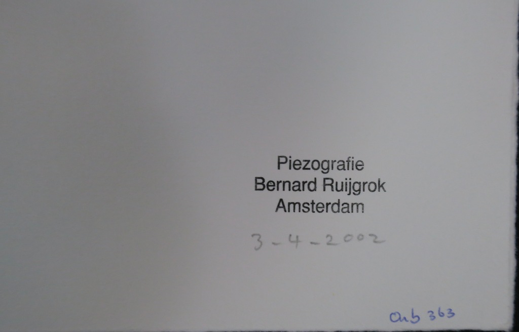 Bernard Ruygrok: Piezografie, Zonder titel (blauwe schelp) kopen? Bied vanaf 1!