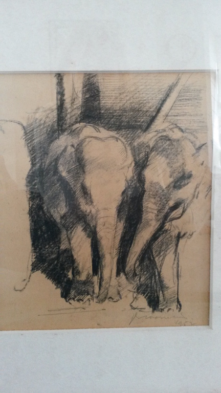 Jan Groenestein, tekening, olifanten, 1952. kopen? Bied vanaf 200!