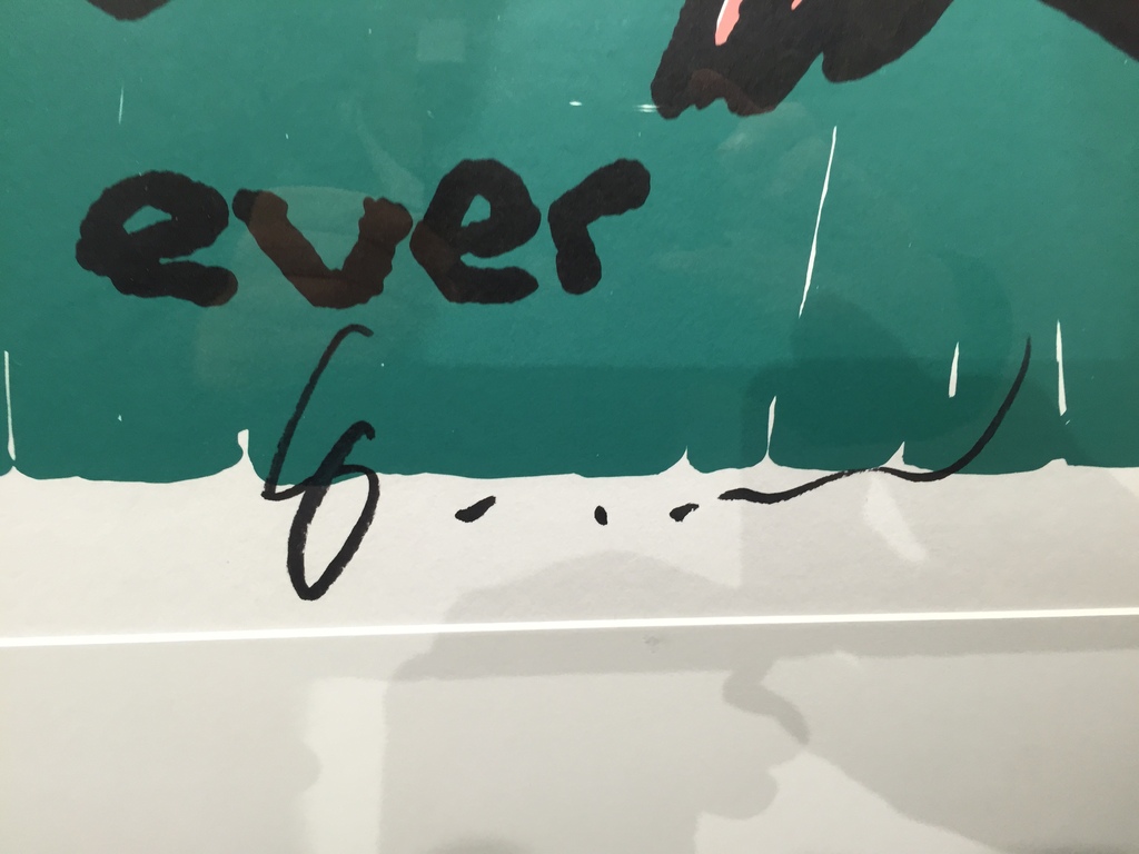 HERMAN BROOD  originele zeefdruk/ litho   Titel: For Ever kopen? Bied vanaf 1!