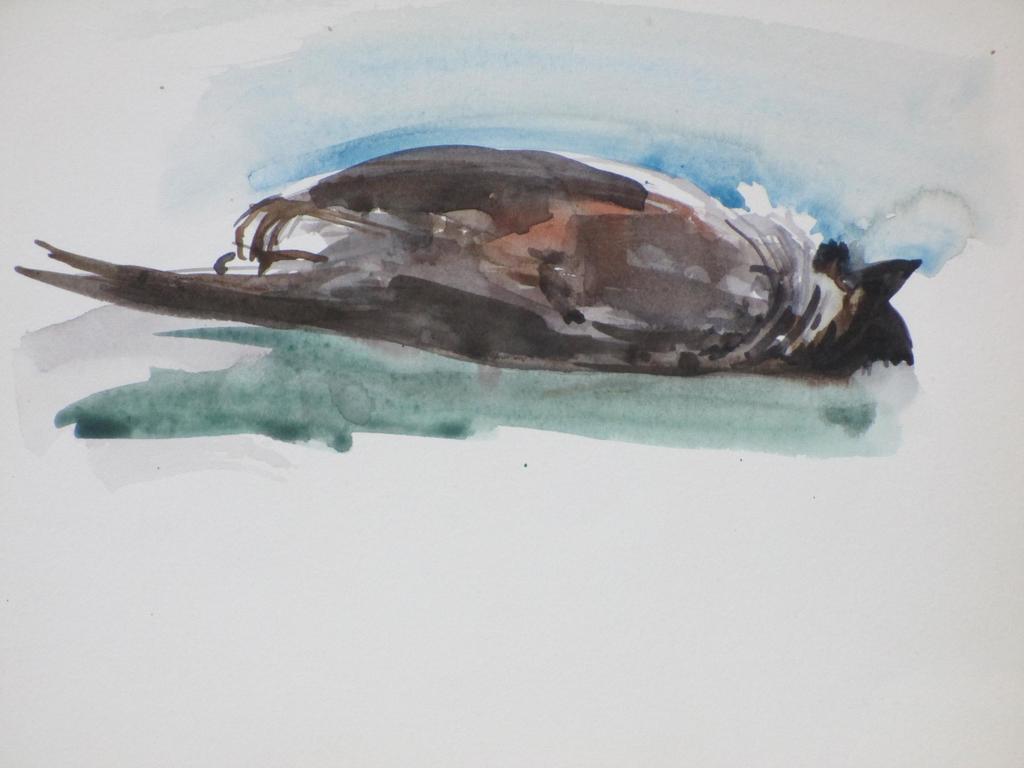 Hannie Bouman, Dode mus, Aquarel kopen? Bied vanaf 1!