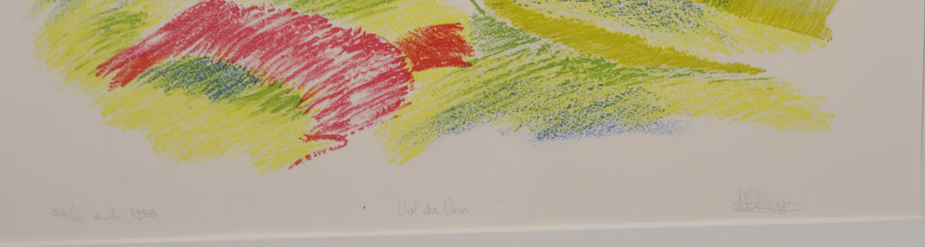 Ami Bernard Zillweger: Litho, Val da Cam - Ingelijst kopen? Bied vanaf 1!