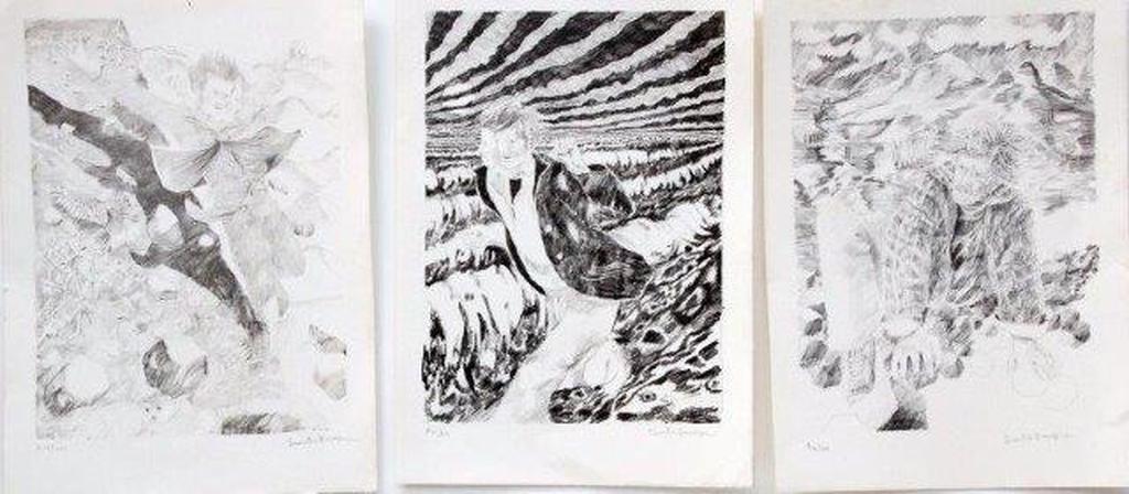 DEES DE BRUYNE "MISTRAL"  MAP MET 3 LITHOS verkocht voor € 50!