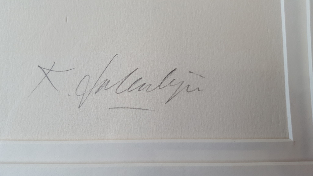 Kees Salentijn - zeefdruk 126/200, gesigneerd (groot)  kopen? Bied vanaf 60!