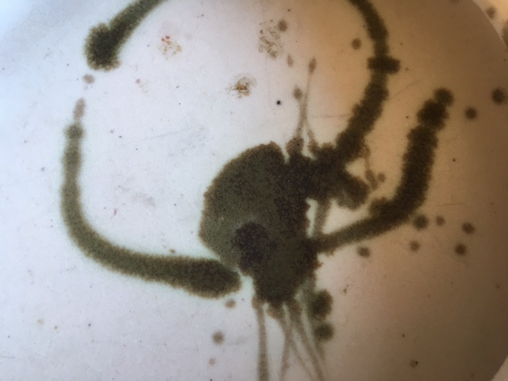 Poterie La Colombe kunstaardewerken schaal, Vallauris kopen? Bied vanaf 12!