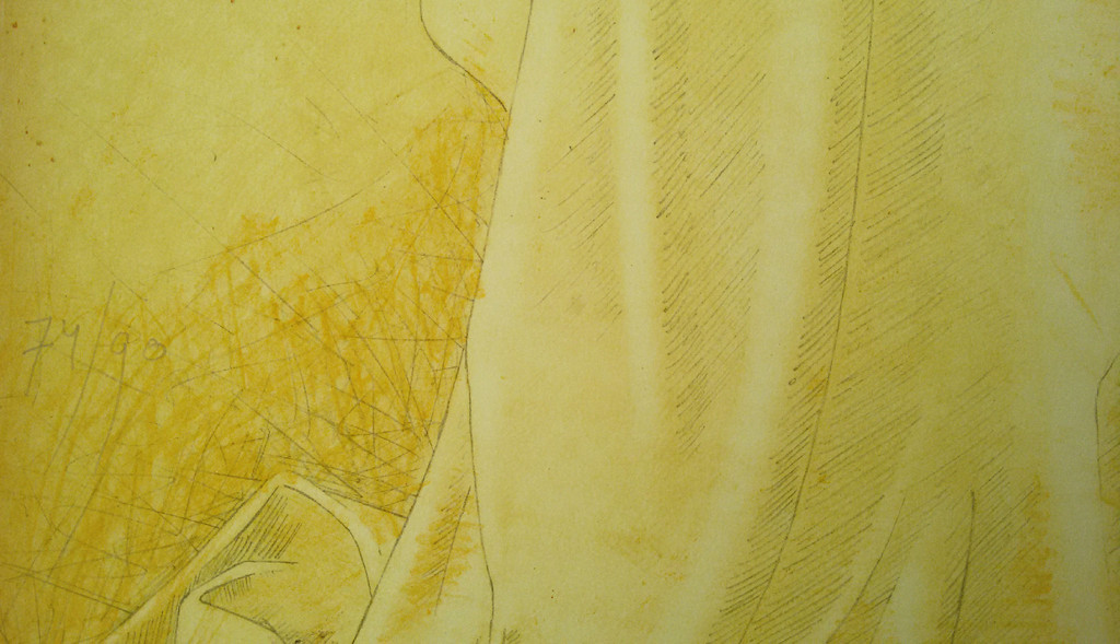 Siet Zuyderland - Chinees stilleven, litho kopen? Bied vanaf 75!