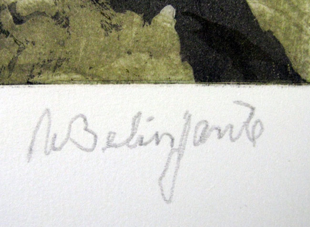 Willy Belinfante - MONTAGNE - kleurets kopen? Bied vanaf 1!