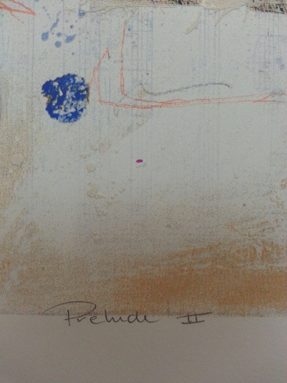 Ron van de Werf, zeefdruk op papier,  kopen? Bied vanaf 30!