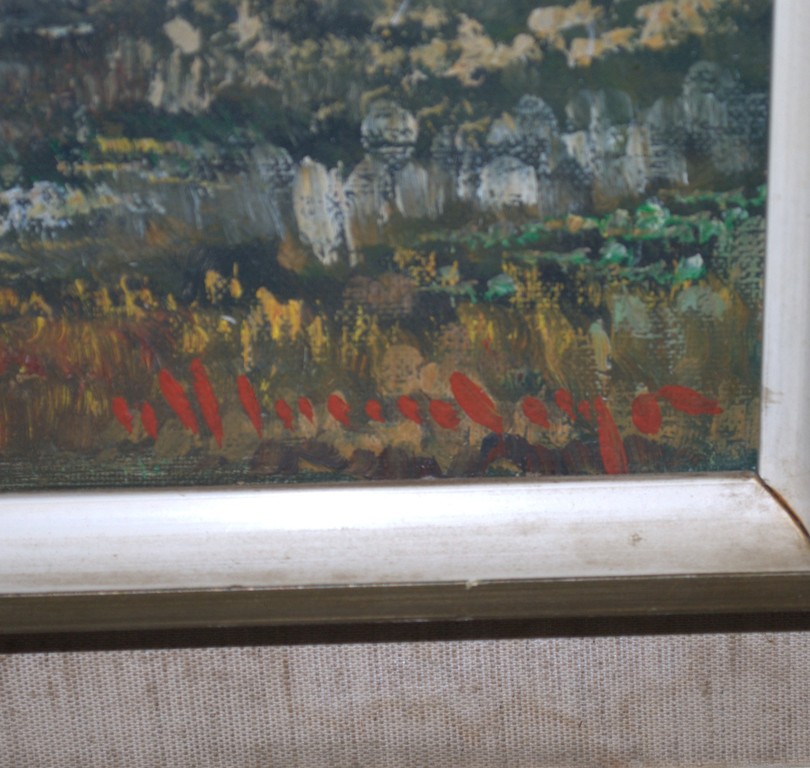 't Gooi - ingelijst olieverf op doek, incl boek kopen? Bied vanaf 1!