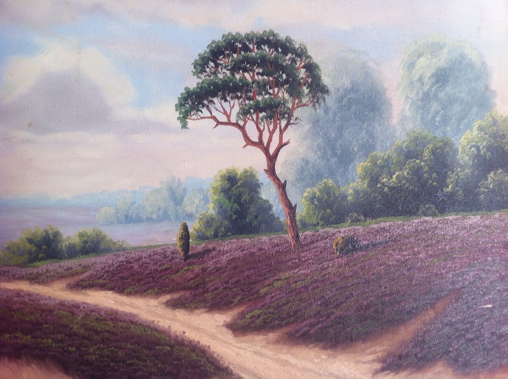 Lavendelveld kopen? Bied vanaf 45!