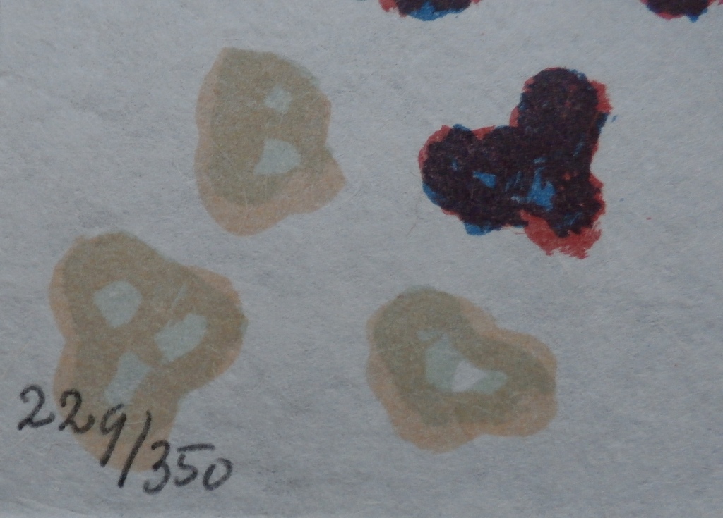 Klaas Gubbels, litho: Het Knielen, handgesigneerd en genummerd, 2007 kopen? Bied vanaf 95!