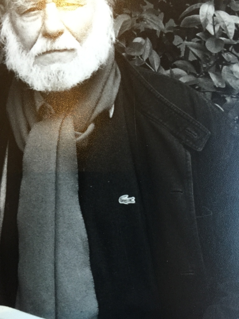 Nico Koster de CoBrA fotograaf  CORNEILLE kopen? Bied vanaf 1!