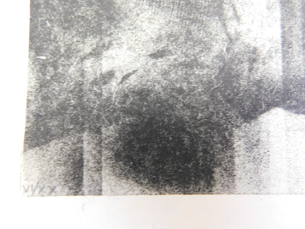 Ghislain Dussart - lithografie - Tulips kopen? Bied vanaf 40!