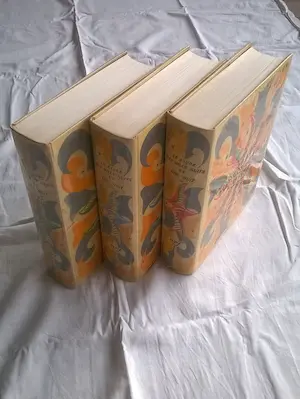 Kees van Dongen - Kees van Dongen, Le livre des mille nuits en une nuit kopen? Bied vanaf 400!