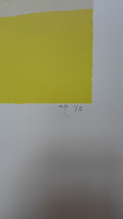 Gerard 't Hart, zeefdruk op papier kopen? Bied vanaf 1!