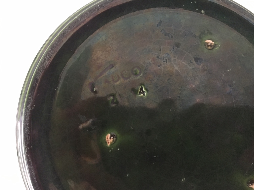 ADCO - grote luster groene planter model 2111-4 kopen? Bied vanaf 15!