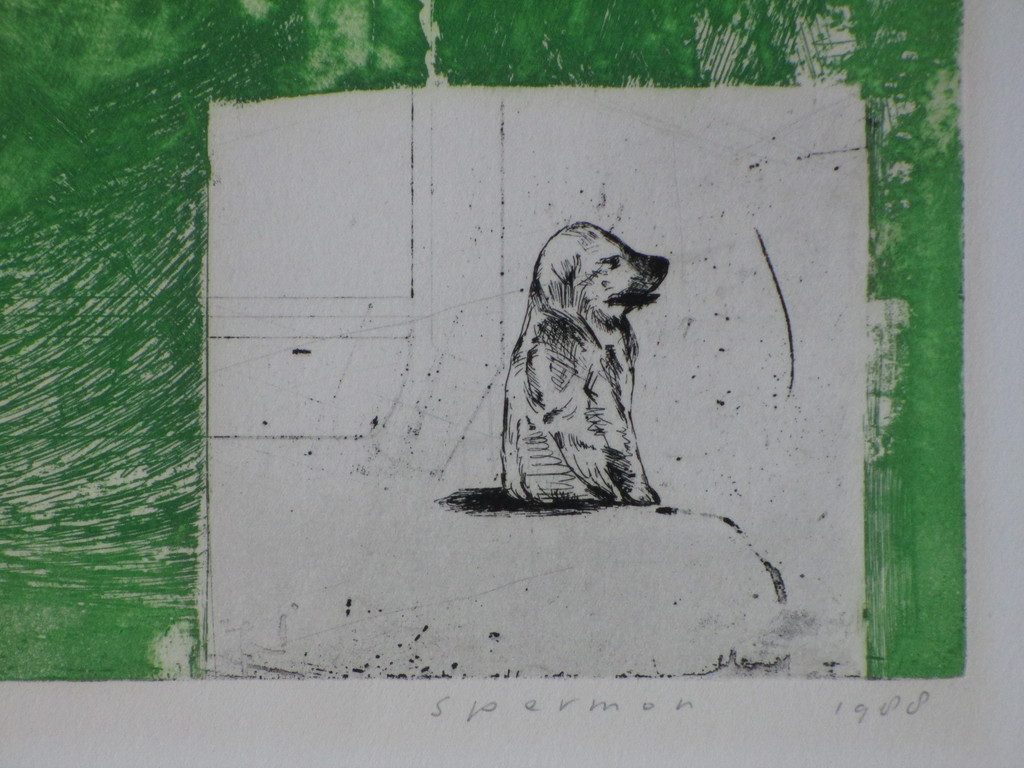 Kees Spermon, En gelachen dat we hebben, Kleurets 1988 kopen? Bied vanaf 50!