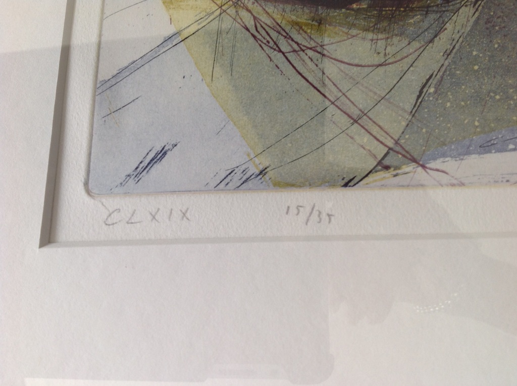 Hans Vredegoor: grafiek op papier: CIXIX kopen? Bied vanaf 50!