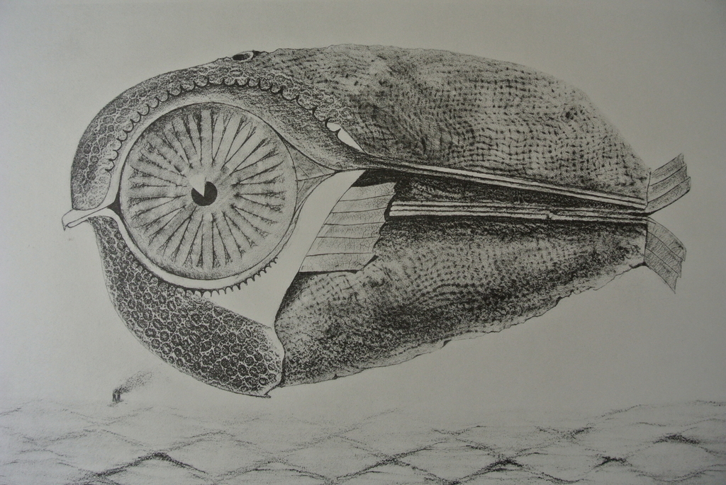 MAX ERNST -Histoire Naturelle- Blad uit de herdruk van de uitgave uit 1926. kopen? Bied vanaf 87!