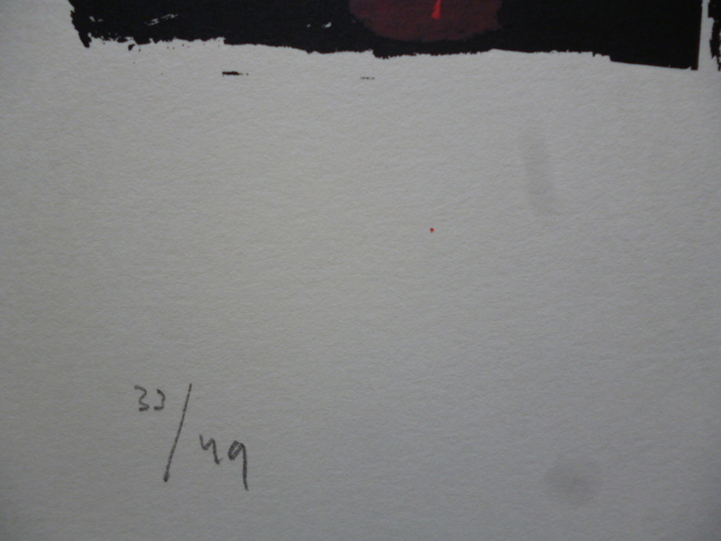 Ilja Walraven - zeefdruk - Dierfiguur kopen? Bied vanaf 25!