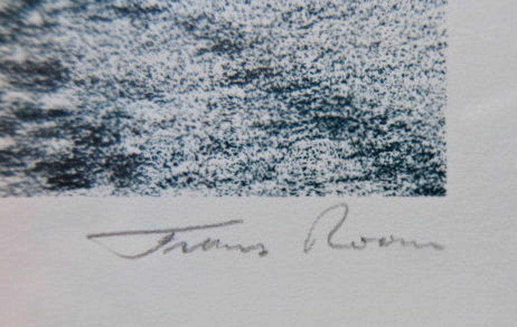 Frans Room- Hollandse Zeewering- Litho-84/100-1989-gesigneerd- INGELIJST(groot) kopen? Bied vanaf 10!