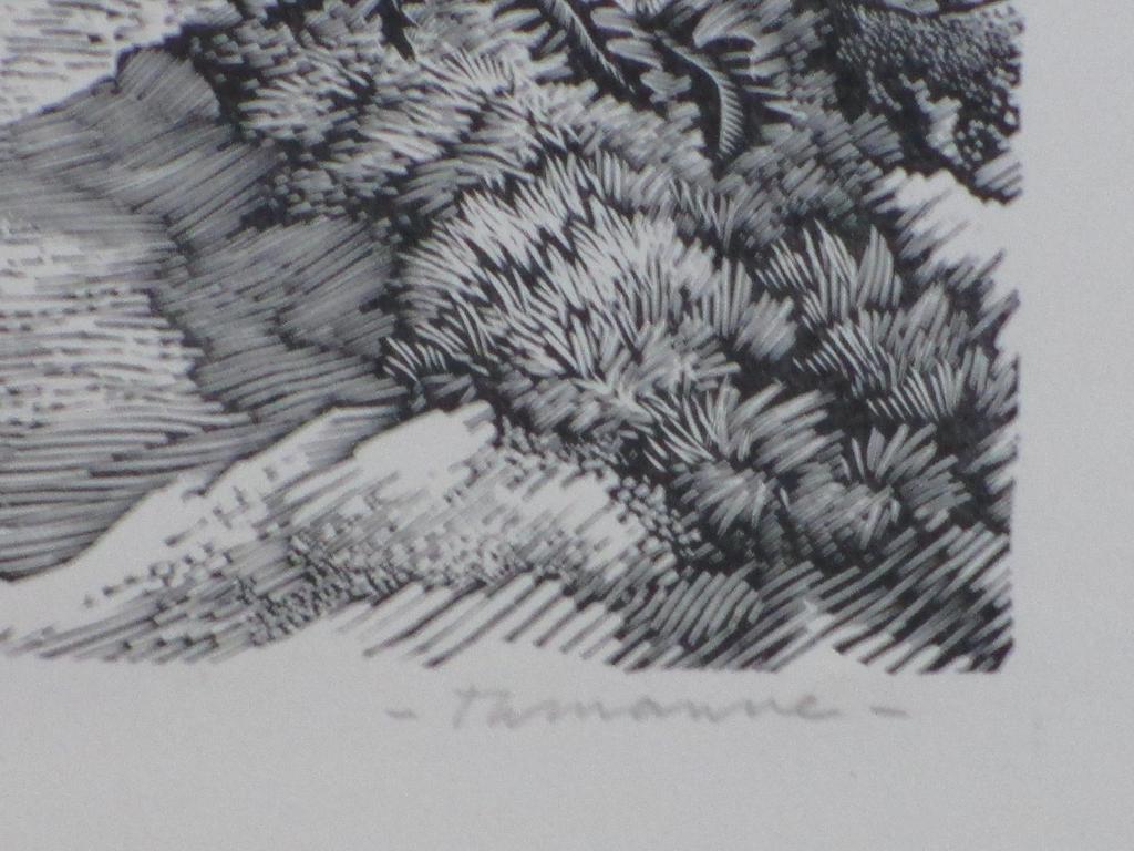 Thijs Mauve, Boslandschap, Houtgravure kopen? Bied vanaf 45!