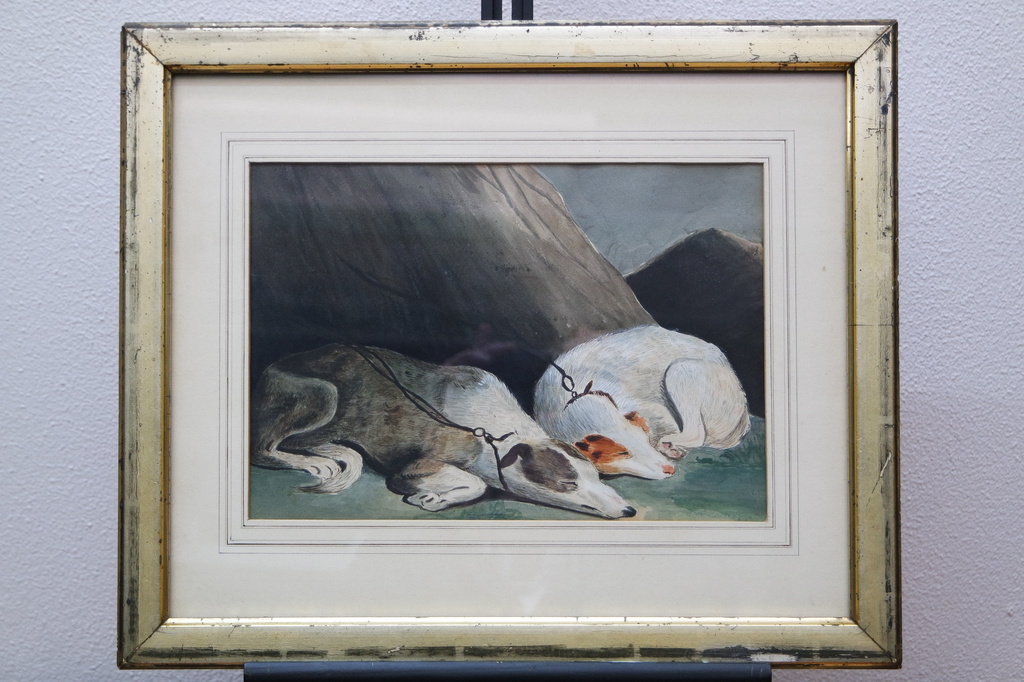 Onbekende kunstenaar - aquarel - twee slapende hondjes kopen? Bied vanaf 45!