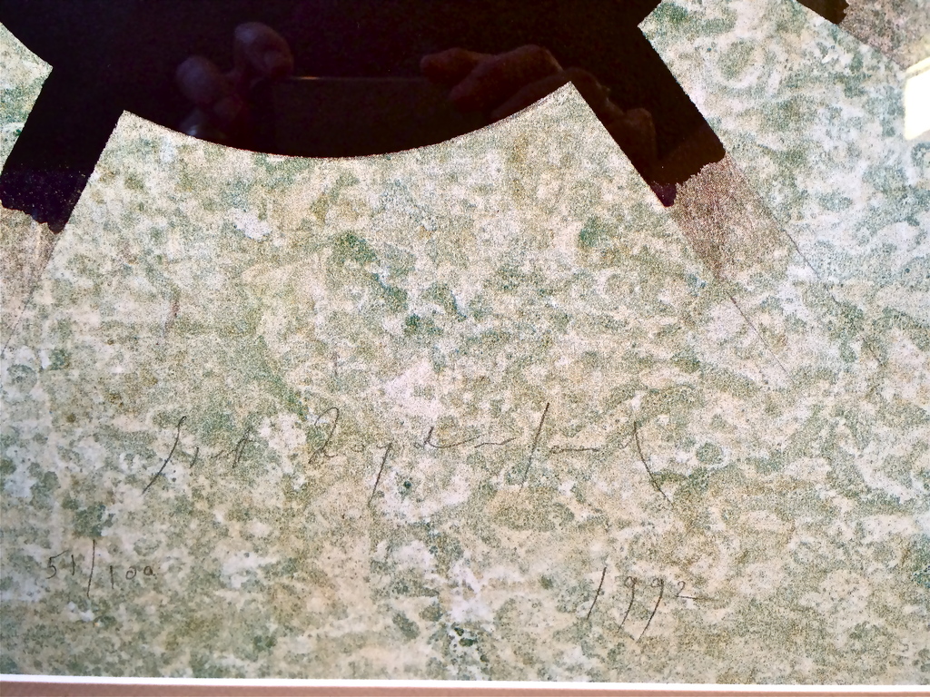 Siet Zuyderland, grafiek, ontwerp entree gemeentehuis Hoofddorp  kopen? Bied vanaf 350!