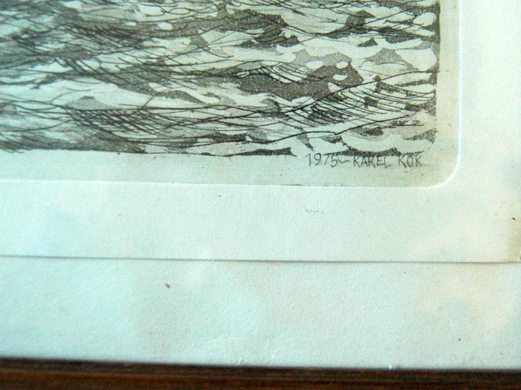 Karel Kok kopen? Bied vanaf 10!