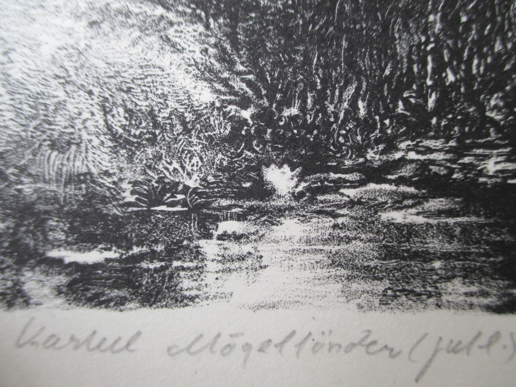 Onbekend, litho Kasteel Mögellander Jutland kopen? Bied vanaf 10!