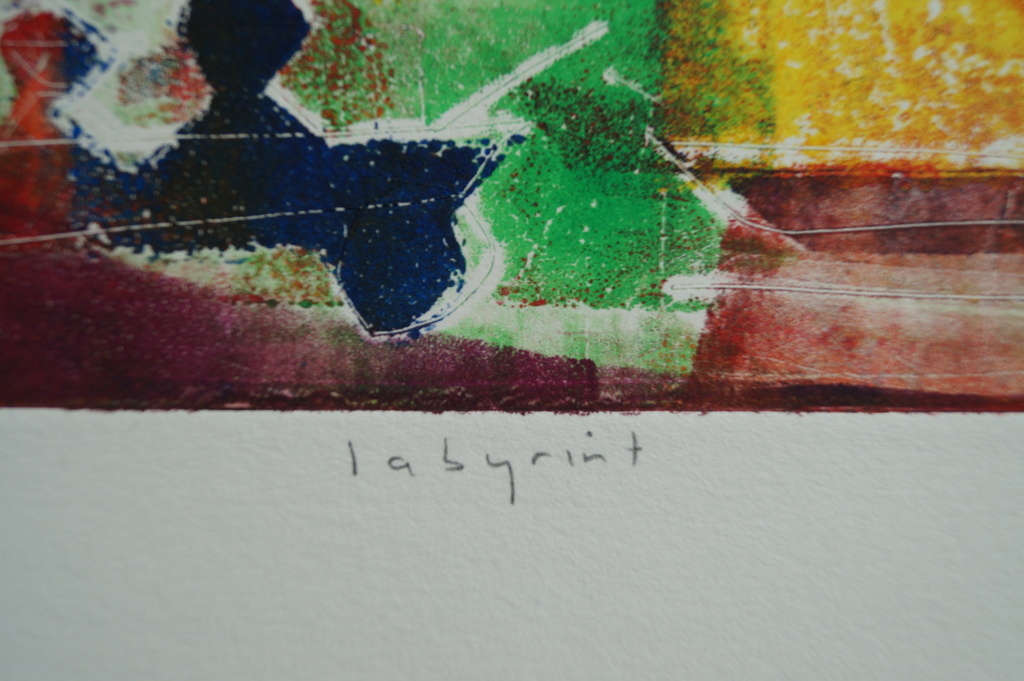 Lia van Leeuwen - Labyrint - gesigneerde kleurenets - 2003 - 6 ex. kopen? Bied vanaf 1!