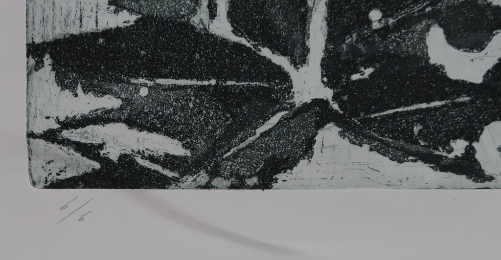 Jacques van Erven: Ets, Botanisch (groot) kopen? Bied vanaf 1!