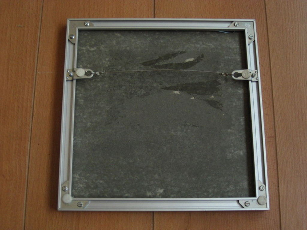 Hans Innemee (1951-) - handgekleurde zeefdruk -zeer beperkte oplage - gesigneerd kopen? Bied vanaf 1!