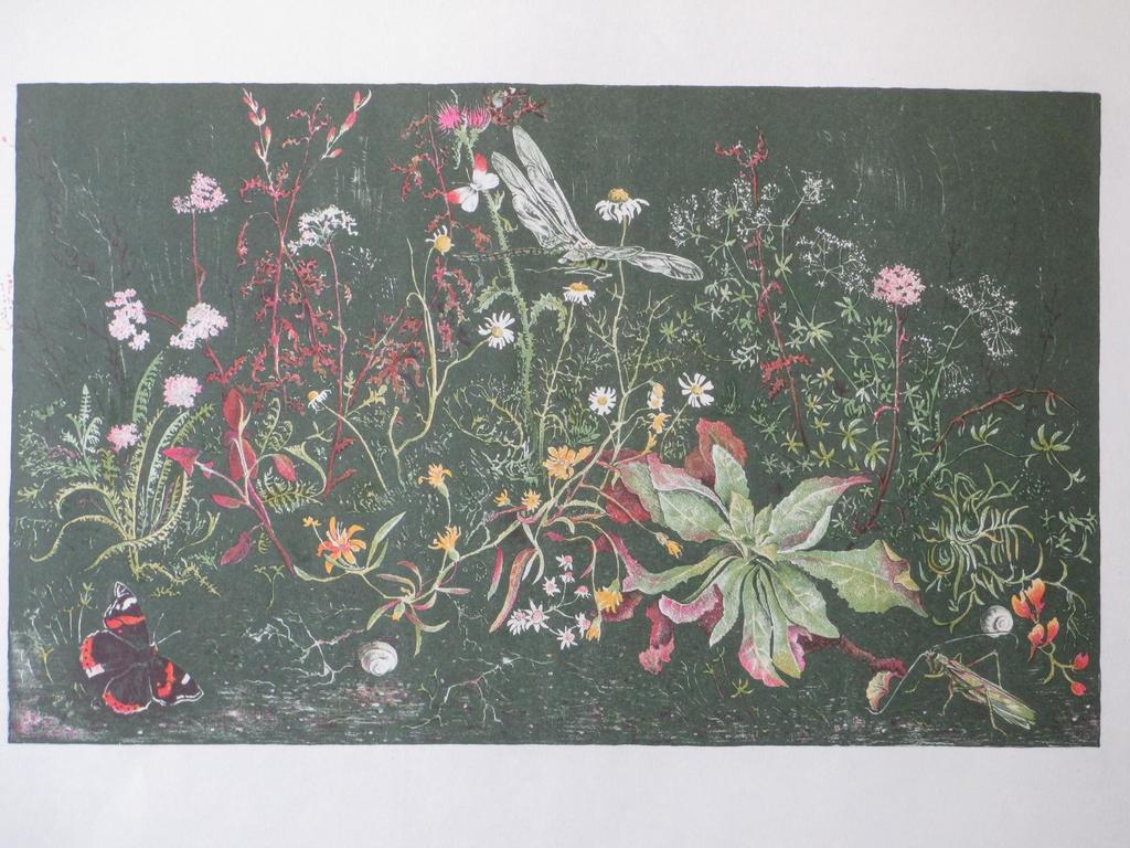 Edgar Fernhout, Bloemen, vlinders en insecten, Kleurenlitho verkocht voor € 35!