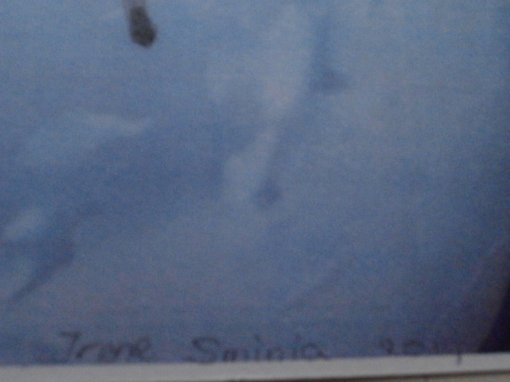irene sminia - foto + winter op saturnus kopen? Bied vanaf 35!