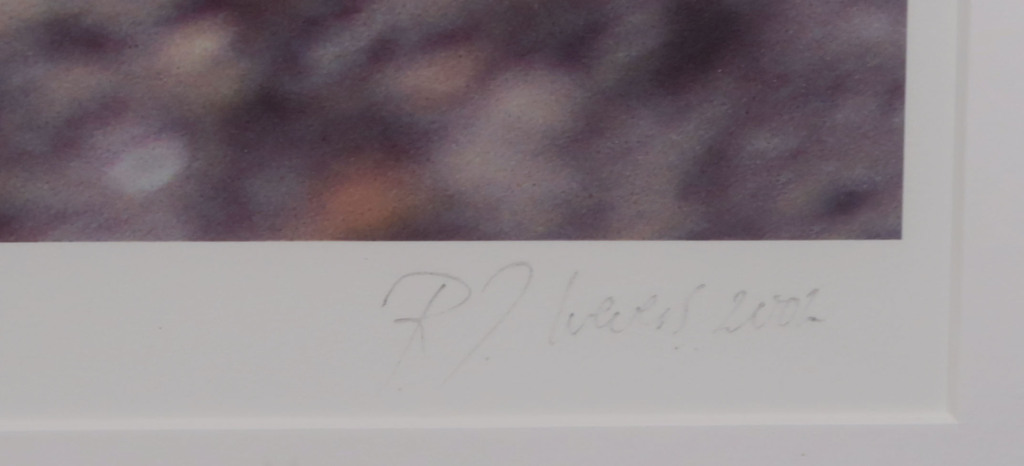 Robert Wevers: Inkjetprint, De kool, het mes en de hand - Ingelijst (Groot) kopen? Bied vanaf 1!